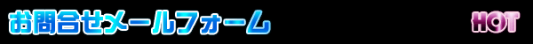 ���⍇���t�H�[��